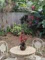 1024 De Soto Dr - Photo 57