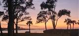 2700 Bayshore Boulevard - Photo 4
