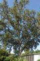 706 Phoenix - Photo 34