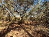 100 Sharon Drive - Photo 5