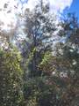 33254 Oakwood Road - Photo 18