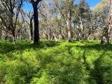 00 Shaw Lake Road - Photo 3