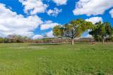 3398 Masterpiece Road - Photo 12