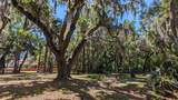 175 Ancona Avenue - Photo 48