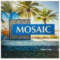 409 Mosaic Boulevard - Photo 46