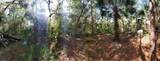 8738 Lindy Lane - Photo 5