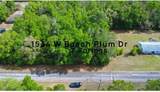 1534 Beach Plum Drive - Photo 3
