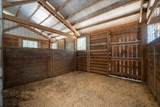 9382 Wild Horse Trail - Photo 41