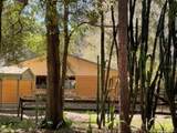 9382 Wild Horse Trail - Photo 46