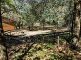 9382 Wild Horse Trail - Photo 47