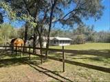 9382 Wild Horse Trail - Photo 54