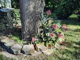 7508 Cypress Knee Drive - Photo 44