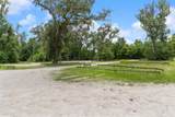6440 Cedar Lane - Photo 8
