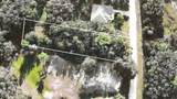 34429 Manuel Street - Photo 1