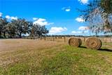 9504 Fort King Road - Photo 13