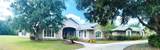11939 Pasco Trails Boulevard - Photo 1