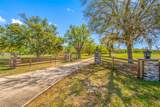 11939 Pasco Trails Boulevard - Photo 4