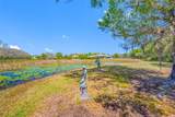 11939 Pasco Trails Boulevard - Photo 58