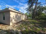 43 Matricaria Court - Photo 47