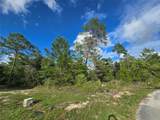 43 Matricaria Court - Photo 49