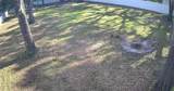 11310 Brightridge Drive - Photo 5