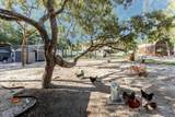 11083 Maybird Avenue - Photo 80