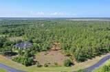 10709 Leafwing Drive - Photo 7
