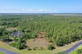 10709 Leafwing Drive - Photo 8