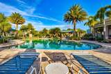 8214 Las Lilias Court - Photo 61