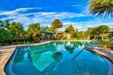 8214 Las Lilias Court - Photo 62