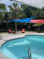 2244 Palm Terrace - Photo 33