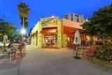 235 Cocoanut Avenue - Photo 68