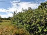  Sawyer Circle - Photo 7
