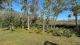 1609 Palm View Road - Photo 54