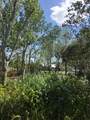 4939 Myakka Valley Trail - Photo 39