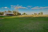 4939 Myakka Valley Trail - Photo 82