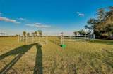 4939 Myakka Valley Trail - Photo 84