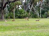 4939 Myakka Valley Trail - Photo 92