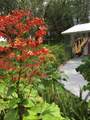 4939 Myakka Valley Trail - Photo 96
