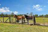 7108 229TH Street - Photo 61
