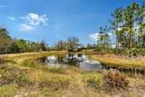 7108 229TH Street - Photo 64