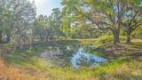 2230 Myakka Road - Photo 52
