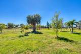 507 Cashew - Photo 32