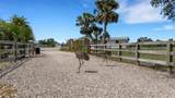 7160 Myakka Valley Trail - Photo 37