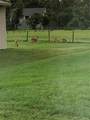4353 Hidden River Road - Photo 8