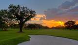 912 Ponderosa Pine Lane - Photo 40