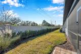 3747 Laughing Dove Avenue - Photo 38