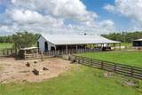 1126 County Road 665 - Photo 53