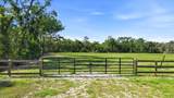 5361 Myakka Valley Trail - Photo 53