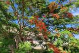 258 Rio De Janeiro Avenue - Photo 28